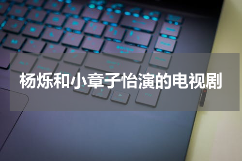 杨烁和小章子怡演的电视剧