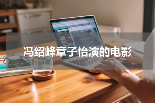 冯绍峰章子怡演的电影
