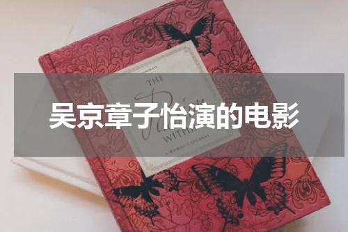 吴京章子怡演的电影