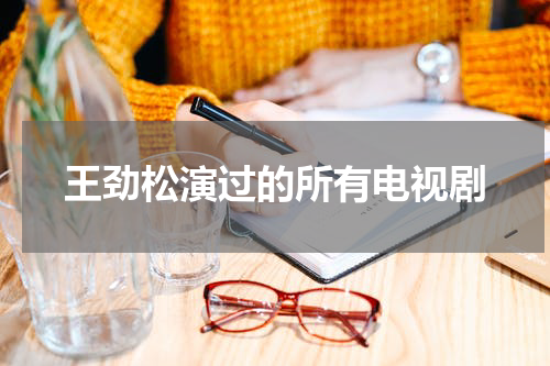 王劲松演过的所有电视剧