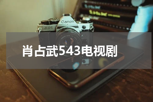 肖占武543电视剧