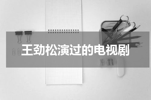 王劲松演过的电视剧