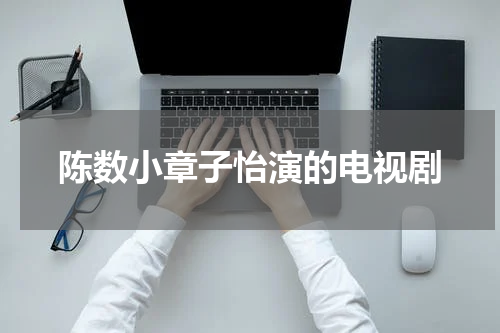 陈数小章子怡演的电视剧