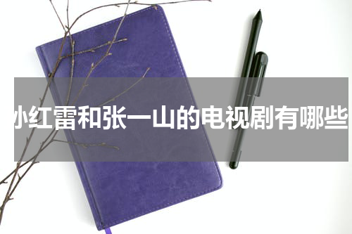 孙红雷和张一山的电视剧有哪些
