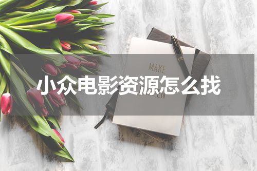 小众电影资源怎么找