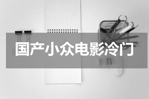 国产小众电影冷门