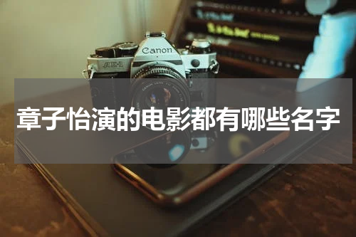 章子怡演的电影都有哪些名字