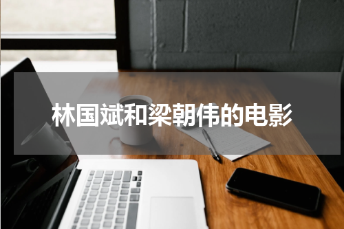 林国斌和梁朝伟的电影