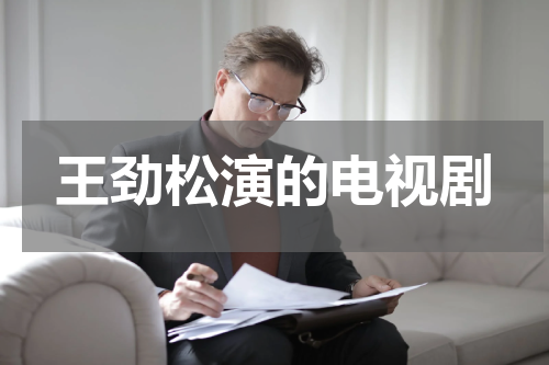 王劲松演的电视剧