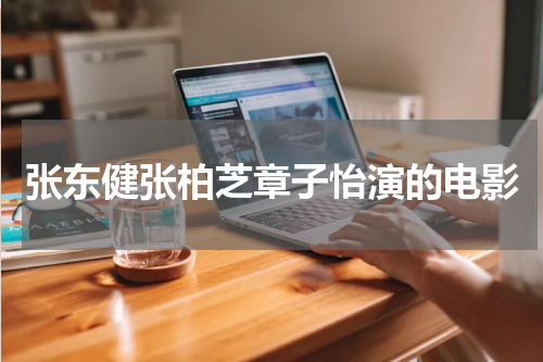 张东健张柏芝章子怡演的电影