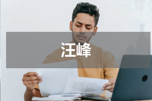 汪峰