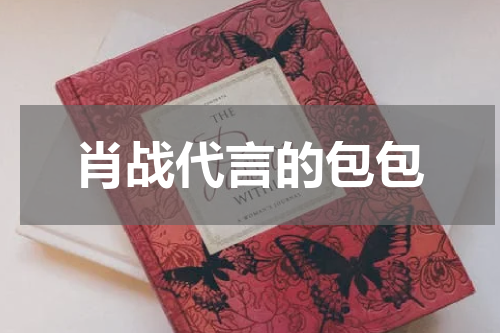 肖战代言的包包