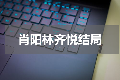 肖阳林齐悦结局