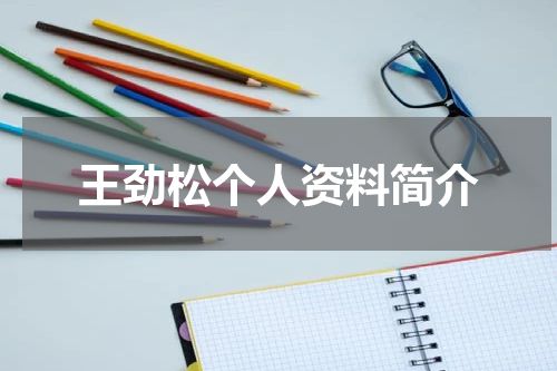 王劲松个人资料简介