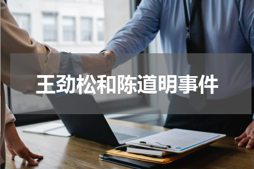 王劲松和陈道明事件