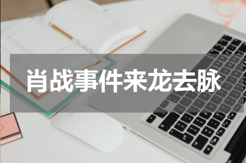 肖战事件来龙去脉