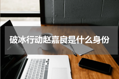 破冰行动赵嘉良是什么身份