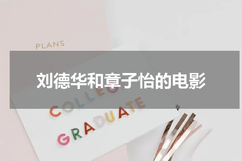 刘德华和章子怡的电影