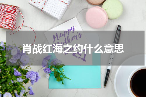 肖战红海之约什么意思