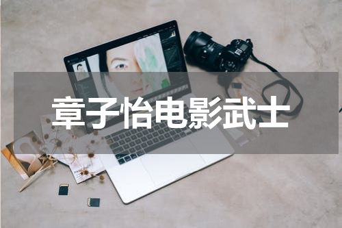 章子怡电影武士