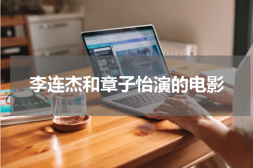 李连杰和章子怡演的电影