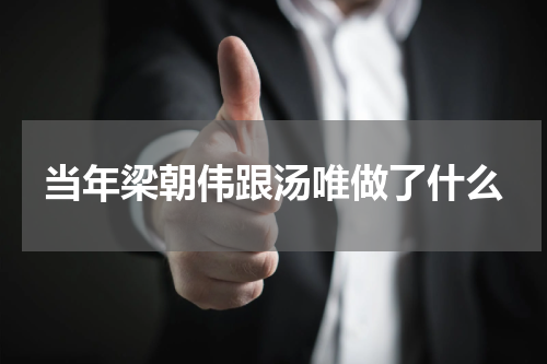 当年梁朝伟跟汤唯做了什么