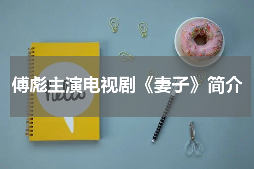 傅彪主演电视剧《妻子》简介