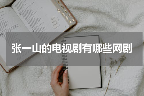 张一山的电视剧有哪些网剧