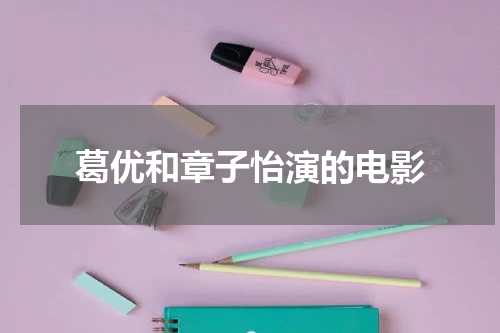 葛优和章子怡演的电影