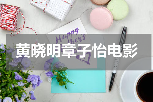 黄晓明章子怡电影