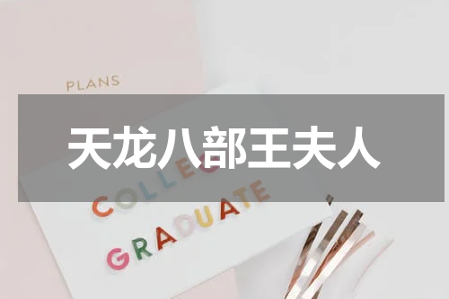 天龙八部王夫人