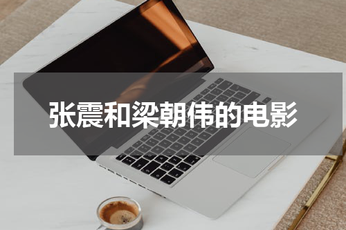 张震和梁朝伟的电影