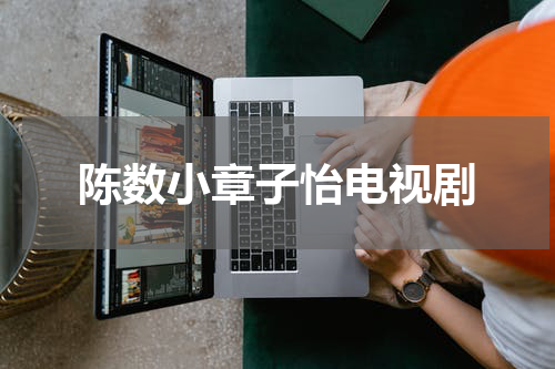 陈数小章子怡电视剧