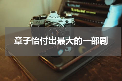 章子怡付出最大的一部剧