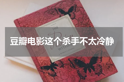 豆瓣电影这个杀手不太冷静