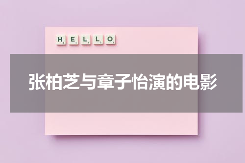 张柏芝与章子怡演的电影