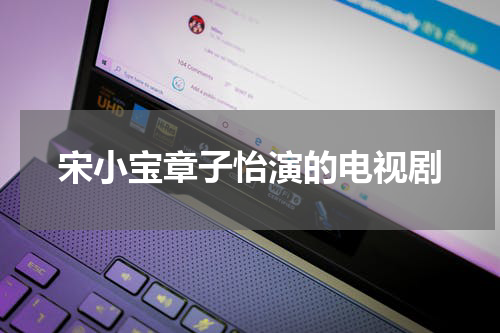 宋小宝章子怡演的电视剧