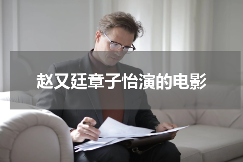 赵又廷章子怡演的电影
