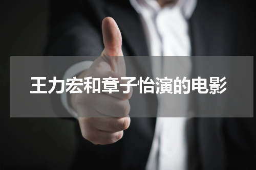 王力宏和章子怡演的电影