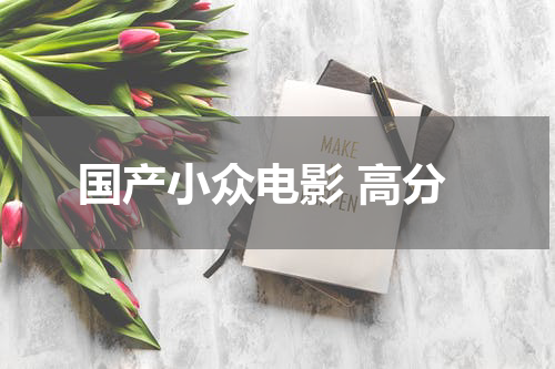 国产小众电影 高分