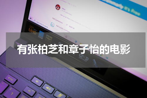 有张柏芝和章子怡的电影