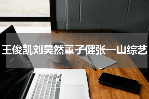 王俊凯刘昊然董子健张一山综艺