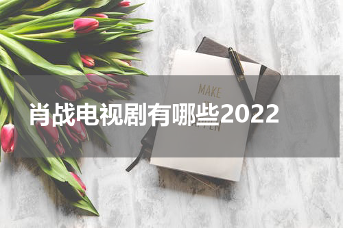 肖战电视剧有哪些2022
