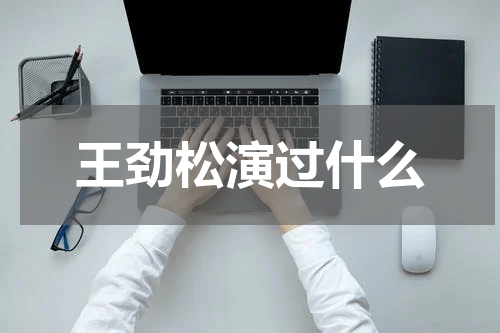 王劲松演过什么