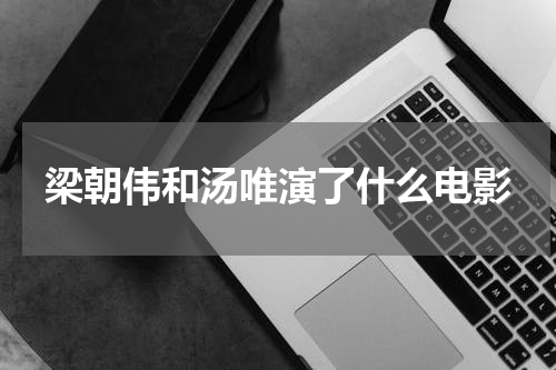 梁朝伟和汤唯演了什么电影