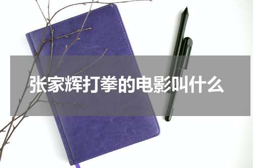 张家辉打拳的电影叫什么