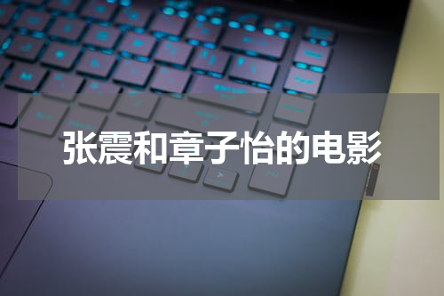 张震和章子怡的电影