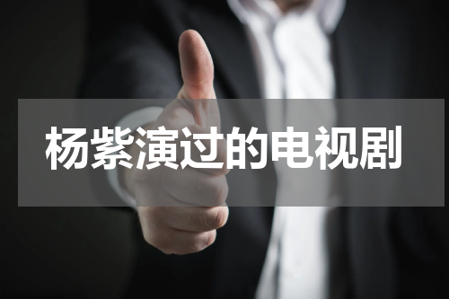 杨紫演过的电视剧