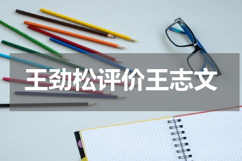 王劲松评价王志文