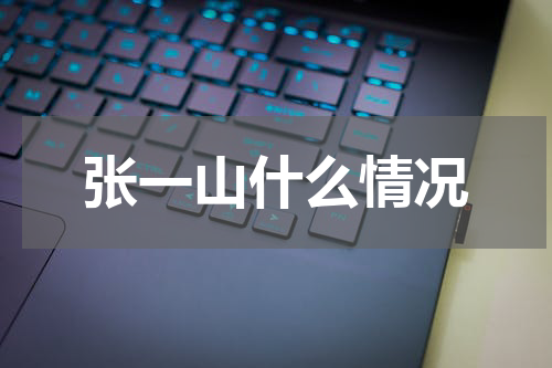 张一山什么情况